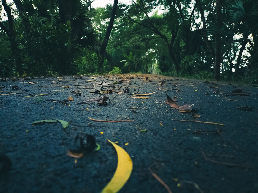 Een afscheidscadeau voor je collega dat past bij de herinnering