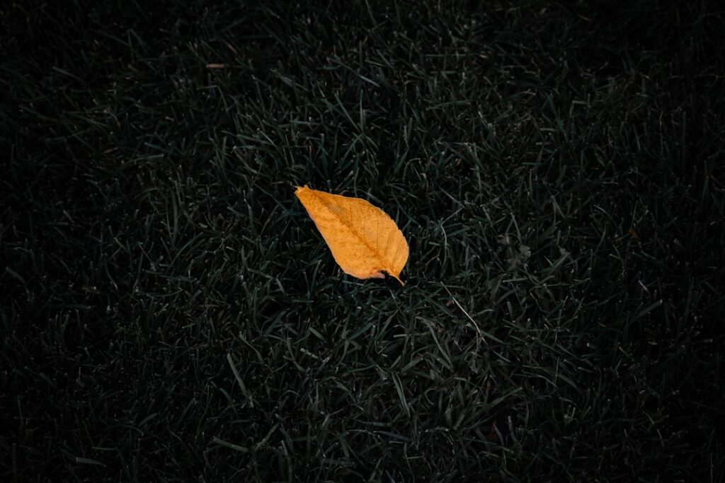 Wat het betekent als je vrijgesteld van werk wordt