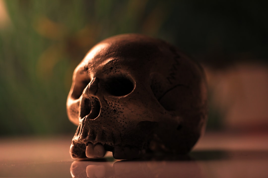 Een nieuwe start met een werkleertraject: leren en werken tegelijk